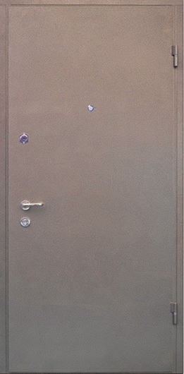 Дверь с порошковым напылением с двух сторон ДП-40
